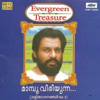 Evergreen Treasure K J Yesudas - Vol - 2 songs mp3