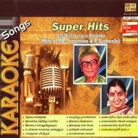 Karaoke Instrumental Vol 2 songs mp3