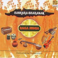Raga Sudha Sankarabharanam - Instrumental Collection songs mp3