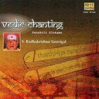 Vedic Chanting S. Radhakrishna Sastrigal songs mp3