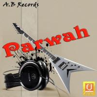 Nacheya Nahi Jana Ravinder Saini Song Download Mp3