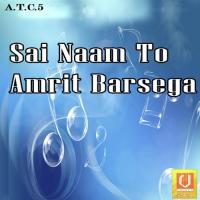 Sai Naam To Amrit Barsega songs mp3