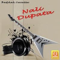 Nali Dupata songs mp3