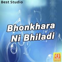 Bhonkhara Ni Bhiladi songs mp3