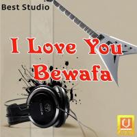 Ja Re Ja Bewafa Pravin Rawat,Kavita Das Song Download Mp3