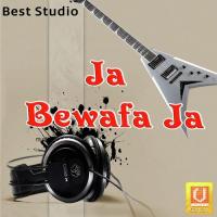 Ja Bewafa Ja songs mp3
