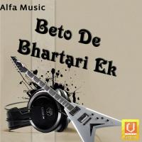Beto De Bhartari Ek songs mp3