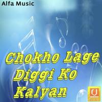 Chokho Lage Diggi Ko Kalyan songs mp3
