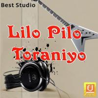 Lilo Pilo Toraniyo Narmadaben Song Download Mp3