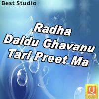 Radha Daldu Ghavanu Tari Preet Ma songs mp3