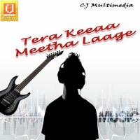Tera Keeaa Meetha Laage songs mp3