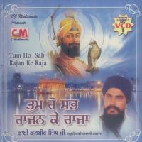 Tum Ho Sab Rajan Ke Raja songs mp3