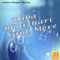 Bharthari Ji De Satish Kumar Song Download Mp3