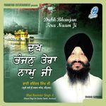 Dukh Bhanjan Tera Naam Bhai Ravinder Singh Ji Song Download Mp3