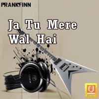 Ja Tu Mere Wal Hai Bhai Niranjan Singh Ji Song Download Mp3