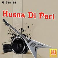 Husna Di Pari Hey Tu Bahadur Balli,Aarti Atwal Song Download Mp3