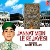 Jannat Mein Le Ke Jayegi songs mp3