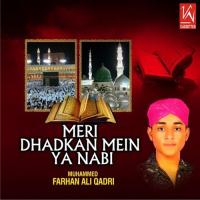 Meri Dhadkan Mein Ya Nabi songs mp3