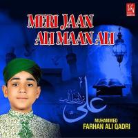 Meri Jaan Ali Maan Ali songs mp3