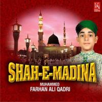 Wo Din Aayega Ek Bar Muhammed F Ali Qadir Song Download Mp3