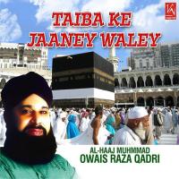 Jagah Jee Laganey Ki Alhaaj Owais Raza Qadri Song Download Mp3