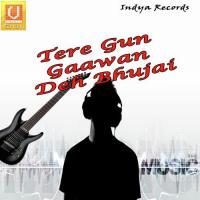 Tere Gun Gaawan Bhai Manmohan Singh Ji Song Download Mp3