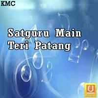 Satguru Main Teri Tara Ji Song Download Mp3