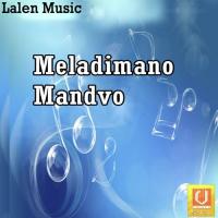 Lilo Lilo Vadlo Re Rajdip Barot,Vanita Barot Song Download Mp3