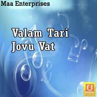 Heva Vatvala Keshar Rabari Song Download Mp3