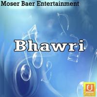 Bhawri songs mp3