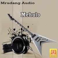 Hey Mune Gamto Kanudo Praful Dave,Vatsala Patil,Vandana,Meena Song Download Mp3