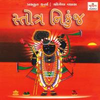 Shri Vishnu Sahastra Stotram Shri Ramanuj Song Download Mp3