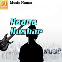Pothandiro Pilla Srikanth Song Download Mp3