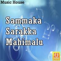 Sammaka Sarakka Mahimalu songs mp3