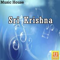 Sri Krishna songs mp3
