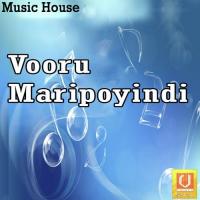 Vooru Maripoyindi songs mp3