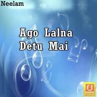 Ago Lalna Detu Mai Radheshyam Rasiya Song Download Mp3