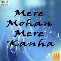 Mere Mohan Mere Kanha songs mp3