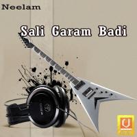 Sali Garam Badi Dhrupji Premi -vyas- Song Download Mp3