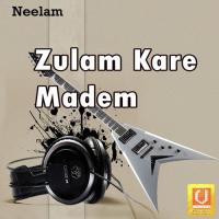 Zulam Kare Madem Radheshyam Rasiya Song Download Mp3