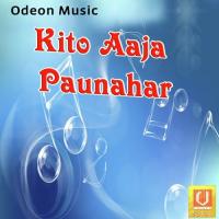 Kito Aaja Paunahar Vikram Vicky Song Download Mp3