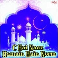 Hai Naaz Hamain Hum Fasihuddin Soharwardi Song Download Mp3