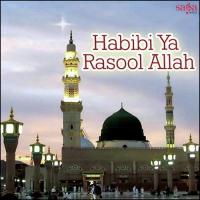 Husan Walon Hasina Rehan Qadri Attari Song Download Mp3
