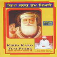 Sajanrha Mera Sajanrha Bhai Kulbeer Singh Ji Song Download Mp3