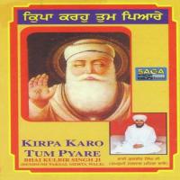 Naam Bina Jo Pahirai Bhai Kulbeer Singh Ji Song Download Mp3