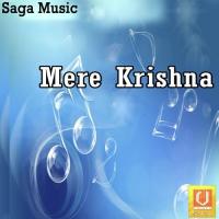 Mere Krishna songs mp3