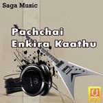Pachchai Enkira Kaathu songs mp3