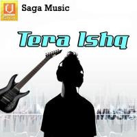 Tera Ishq songs mp3