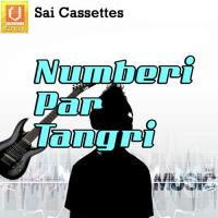 Numberi Par Tangri Vijay Singh Song Download Mp3