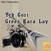 Yeh Gori Grees Kara Lay songs mp3